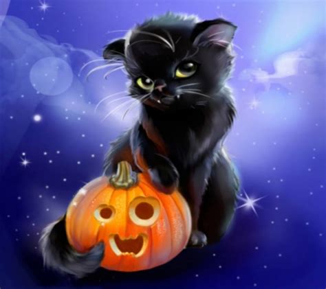 Halloween Cat Wallpapers on WallpaperDog