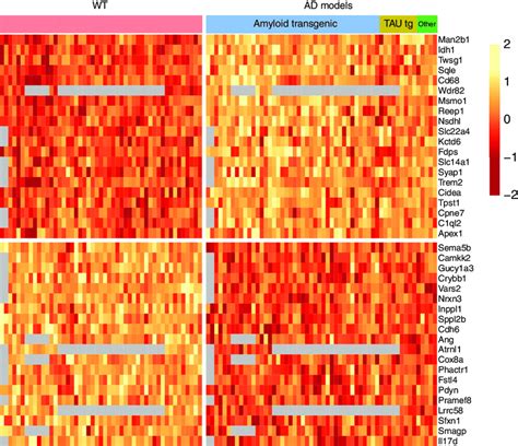 Top 20 Upregulated And Downregulated Genes For Late Phase Expression