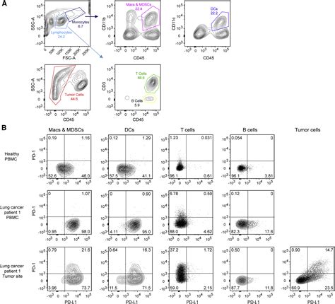 Antigen Presenting Cell Intrinsic Pd 1 Neutralizes Pd L1 In Cis To