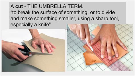 types  cuts  special words   day  bajlinguals