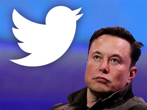 Elon Musk Puts 44 Billion Twitter Deal On Hold Over Fake Accounts