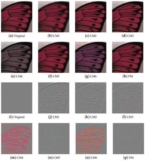 Sensors Free Full Text Multispectral Demosaicing Based On Iterative