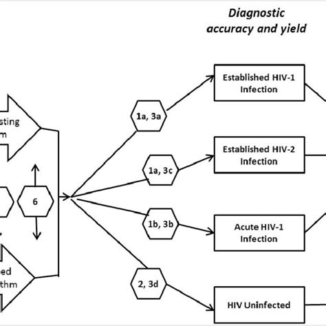 Sequence Of Appearance Of Laboratory Markers For HIV 1 Infection