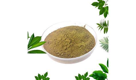 China Medical Plant Epimedium Extract Icariin Horny Goat Weed