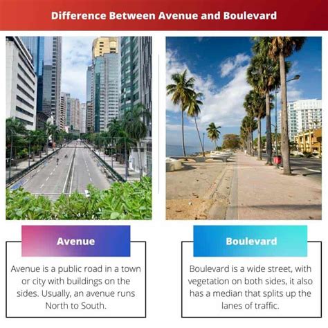 Avenue Vs Boulevard Differenza E Confronto