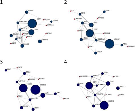 Frontiers Gene Set Enrichment Analysis Of Interaction Networks