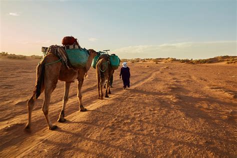 3 Day Sahara Desert Tour From Marrakech To Marrakech