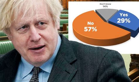 Boris Johnson Should Stay On An As An Mp Voters Believe As Supporters