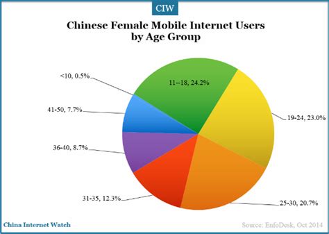 Chinese Female Internet Users Insight China Internet Watch