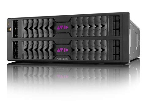 Avid Nexis Msonic