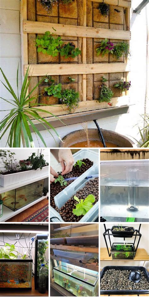 20 Useful Diy Aquaponics Systems And Plans