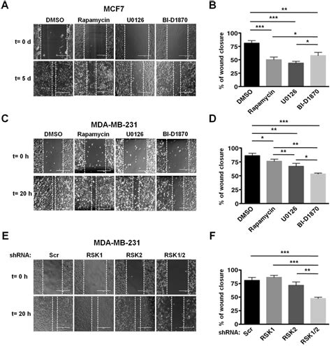 Rsks Control Migration Of Mda Mb Cells A Mcf Cells Were