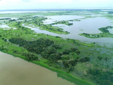 Secas e cheias extremas devem virar rotina na Amazônia