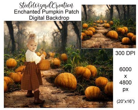 Pumpkin Patch Digital Background Autumn Backdrop Fall - Etsy