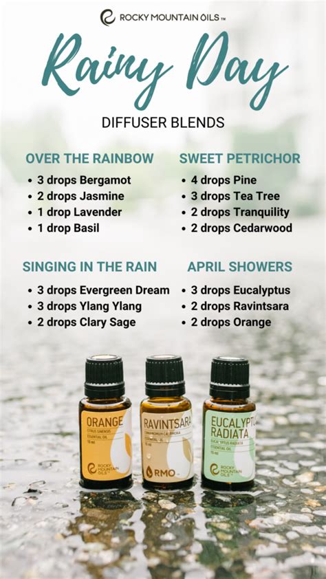 Rainy Day Diffuser Blends Artofit