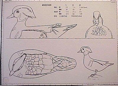 Duck Decoy Carving Templates | TUTORE.ORG - Master of Documents