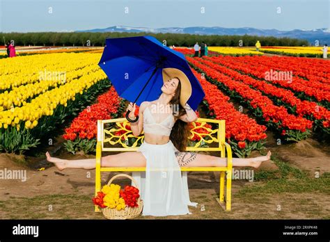 Long Haired Brunette Doing Split On Bench In Front Of Tulip Field Stock