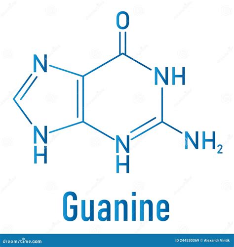 Guanine G Purine Nucleobase Molecule Base Present In Dna And Rna Skeletal Formula Stock Vector