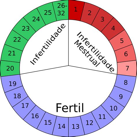 Tabelinhas De Periodo Fertil