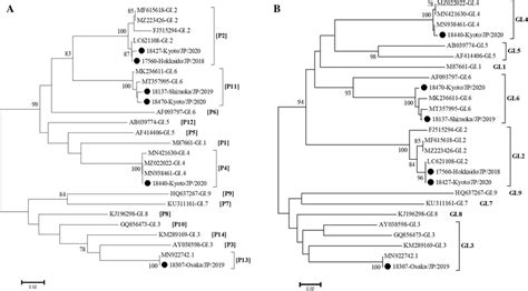 Phylogenetic Trees Constructed Based On The Rdrp Region A And Vp1