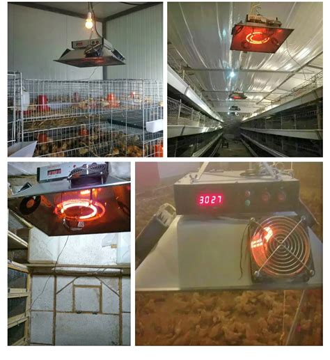 Poultry Farm Chicken Brooder Chicken Electric Infrared Heater 220v