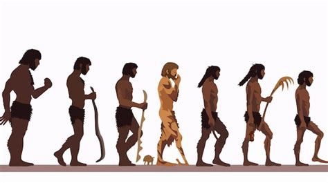 Evolution Of Human From Primitive To Modern Premium AI Generated Vector