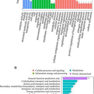 A Go Classification Of The Identified Proteins In Bacillus Sp