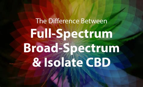 The Difference Between Full Spectrum Broad Spectrum And Isolate Cbd Cbd Review Lab