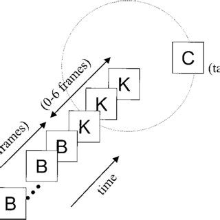 Schematic Representation Of The Stimulus Sequence In Experiment