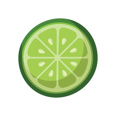 Fresh Half Lemon 13697388 Vector Art At Vecteezy