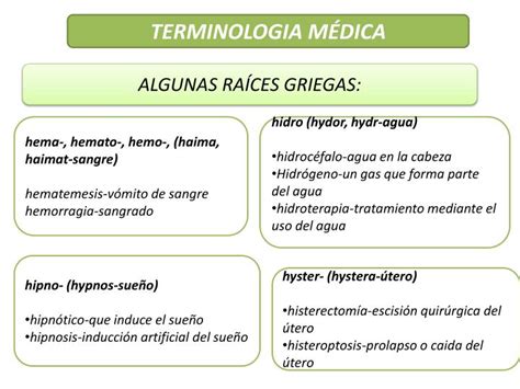 Ppt Terminologia M Dica Powerpoint Presentation Id