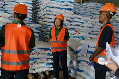 Foto Imbas Kekeringan Serapan Pupuk NPK Bersubsidi Di NTT Belum Maksimal