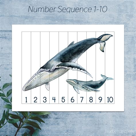 Printable Number Sequence Puzzle Fourmoli