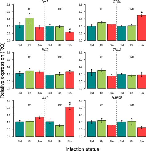 Quantitative Real Time Rt Pcr Analysis Of Transcriptional Levels Of Six