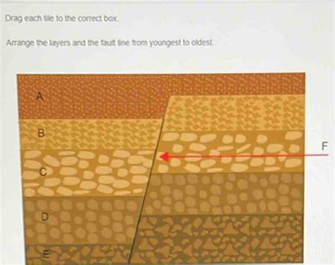 Solved Drag Each Tile To The Correct Box Arrange The Layers And The