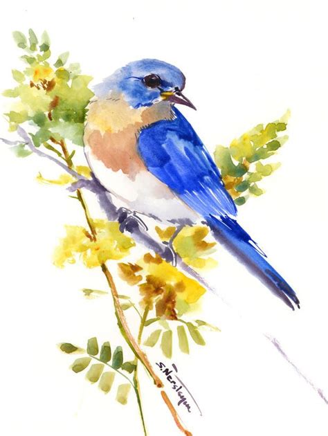 Eastern Bluebird Original Watercolor Painting Bird Watching Etsy