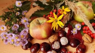 Periodo Delle Castagne Come Combattere La Caduta Dei Capelli