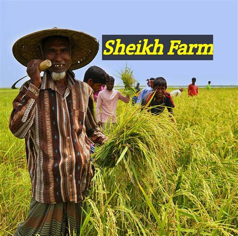 sheikh farm faridpur
