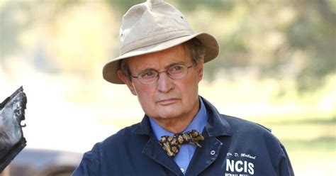 NCIS Co-Showrunner Explains the Absence of Gibbs in Ducky’s Heartfelt ...