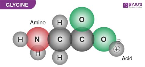 Glycine - Structure, Properties, Uses & Benefits with Images and FAQs