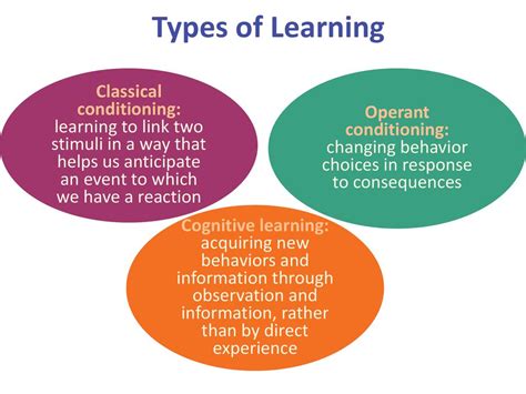 What Colors Stimulate Learning