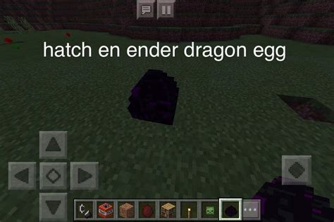 How To Hatch En Dragon Egg Mcpe Minecraft Amino