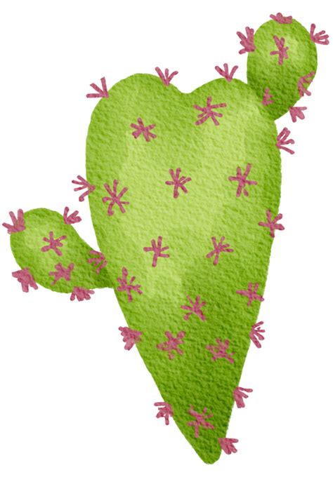 Cactus Suculento Planta Acuarela Png