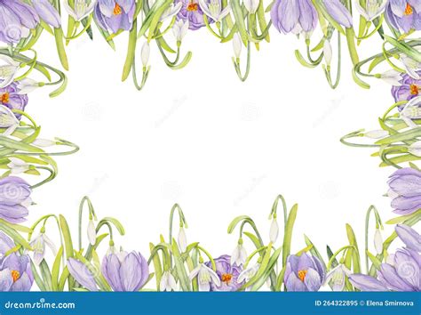 Watercolor Hand Drawn Square Frame With Spring Flowers Crocus