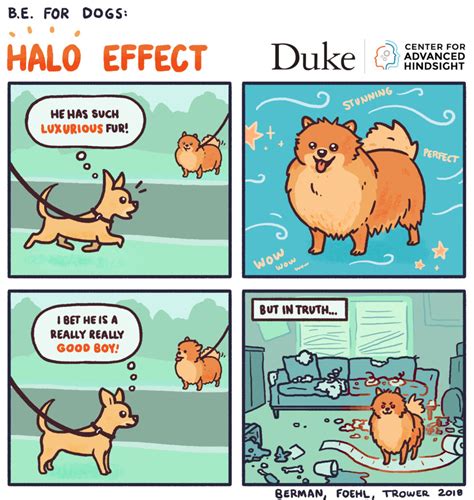 Halo effect acording to behavioral economics | Common cents lab