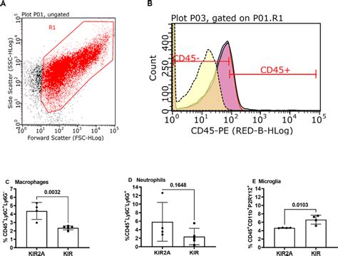 Flow Cytometric Analysis Of Inflammatory Cells In Retinae Retinal