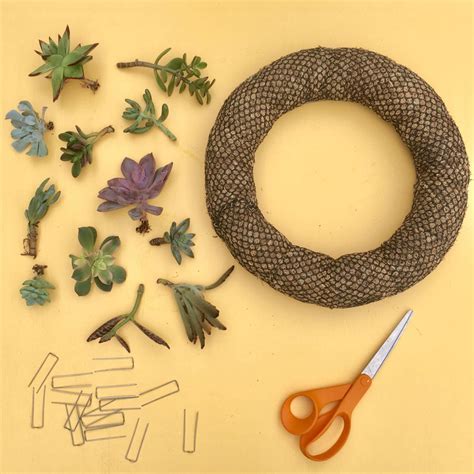 How To Make A Living Succulent Wreath Hgtv