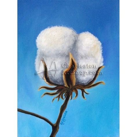 Cotton Boll Painting at PaintingValley.com | Explore collection of ...