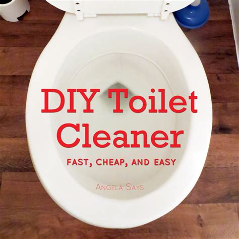 DIY Toilet Cleaner - Angela Says