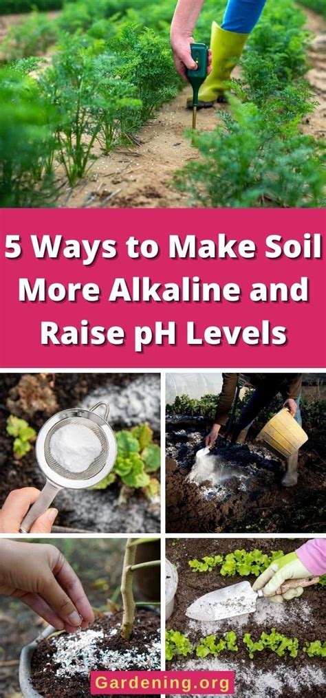 Ways To Make Soil More Alkaline And Raise Ph Levels Soil Garden